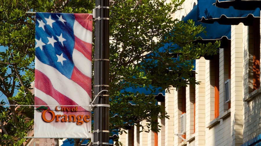Old Towne featuring signage