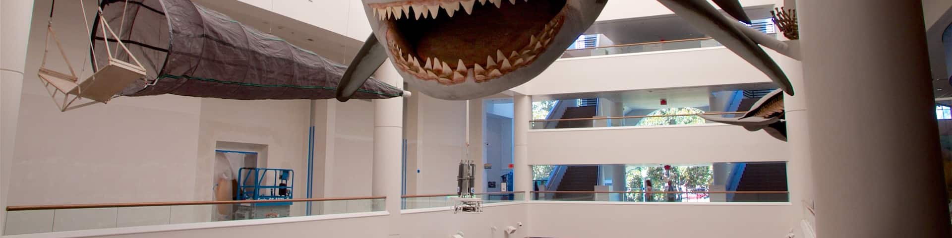 San Diego Natural History Museum which includes interior views