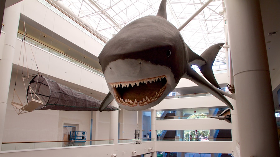 San Diego Natural History Museum inclusief interieur