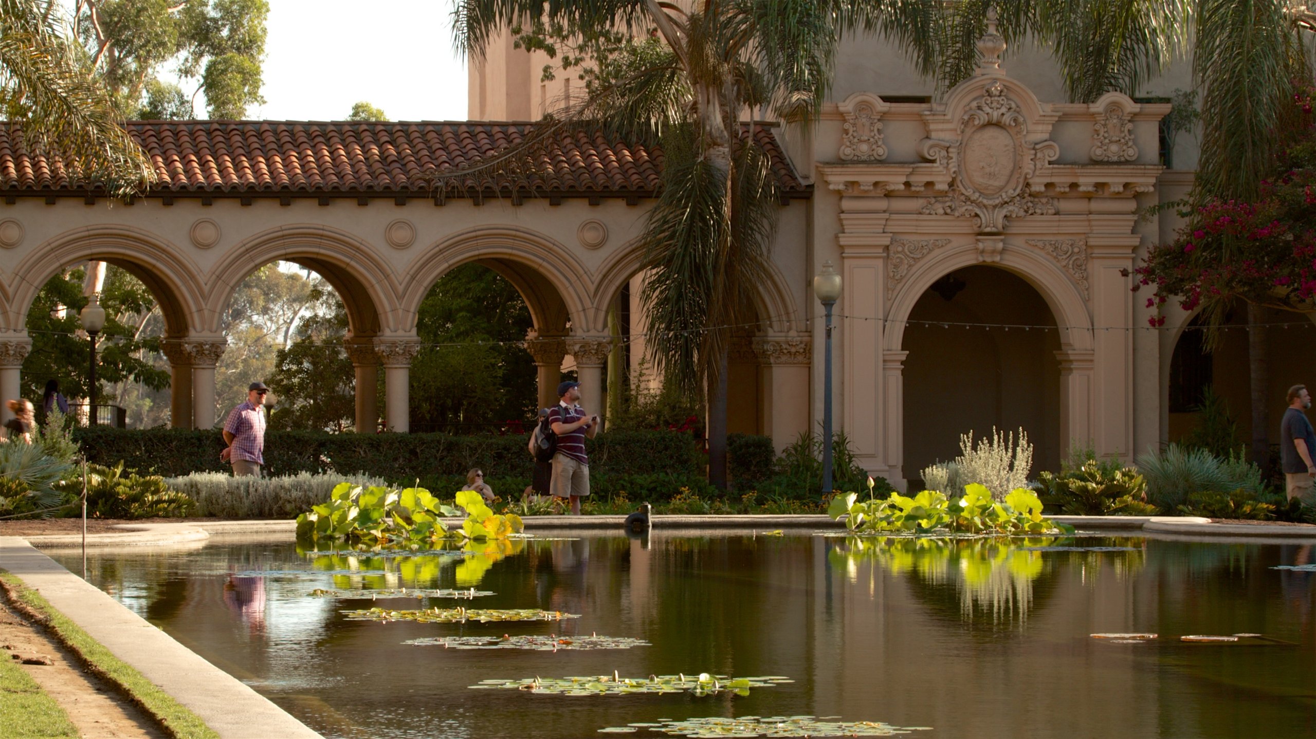 San Diego Botanic Garden featuring a park and a pond