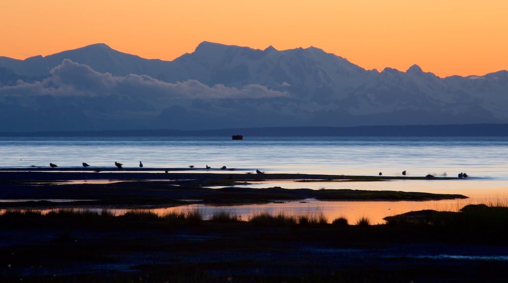 Tony Knowles Coastal Trail showing a sunset, landscape views and a lake or waterhole