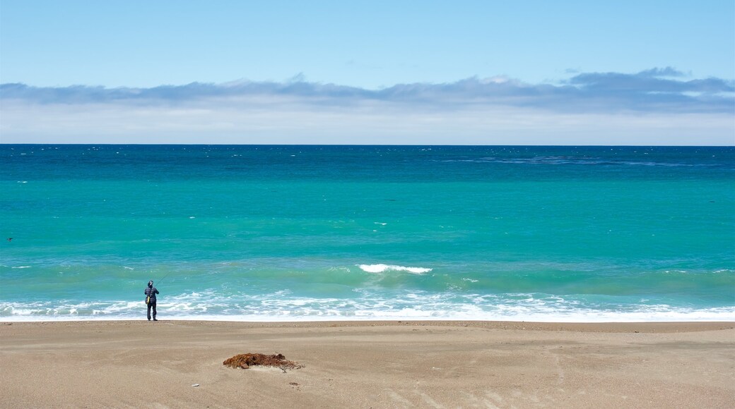 Moonstone Beach Park which includes a beach and general coastal views