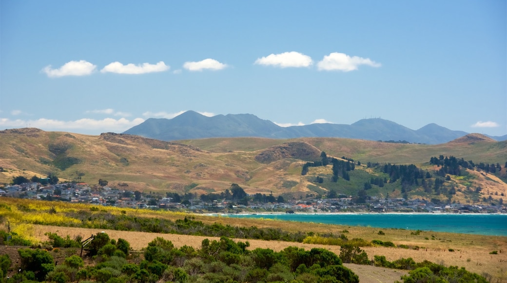 Moonstone Beach Park showing general coastal views, tranquil scenes and a coastal town