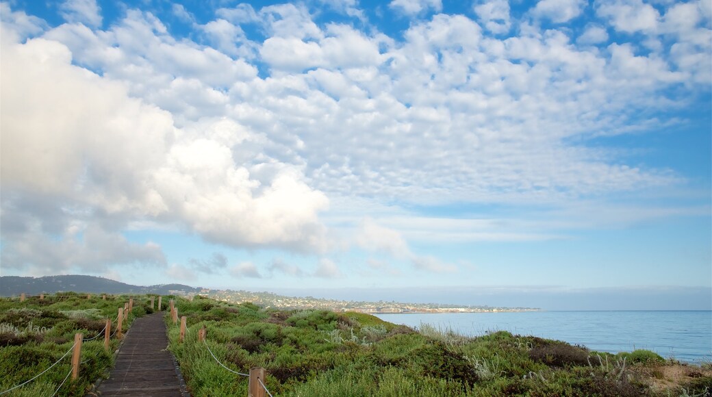 Del Monte Beach bevat vredige uitzichten en algemene kustgezichten