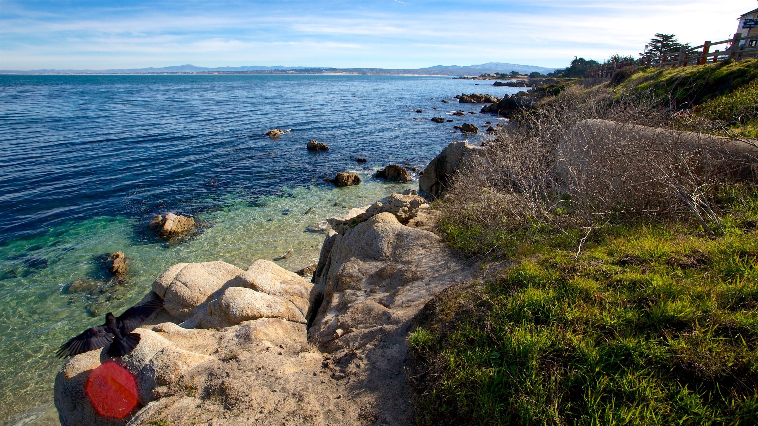 A Diver's Guide To Monterey County Tapa Blanda