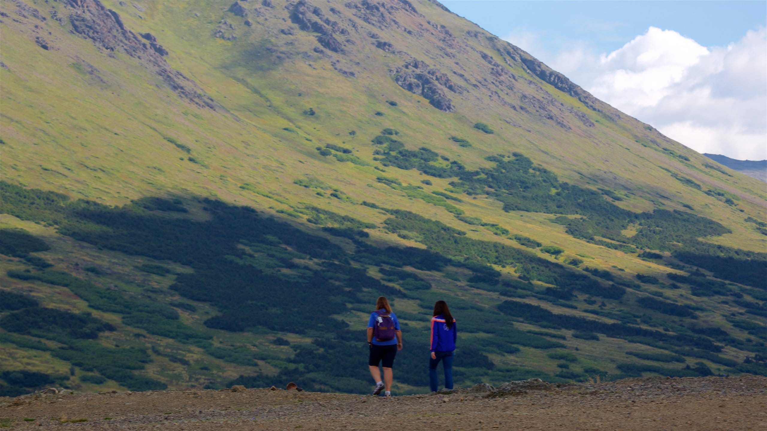 Flattop Trail featuring tranquil scenes and hiking or walking as well as a couple