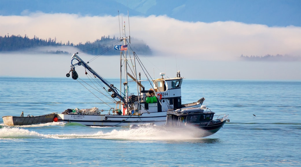 Juneau das einen Bootfahren und Bucht oder Hafen