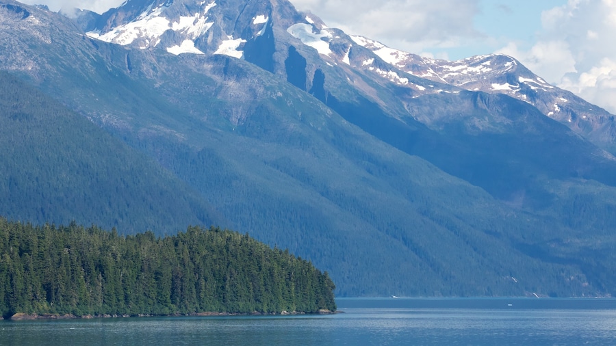 Fiordo Tracy Arm