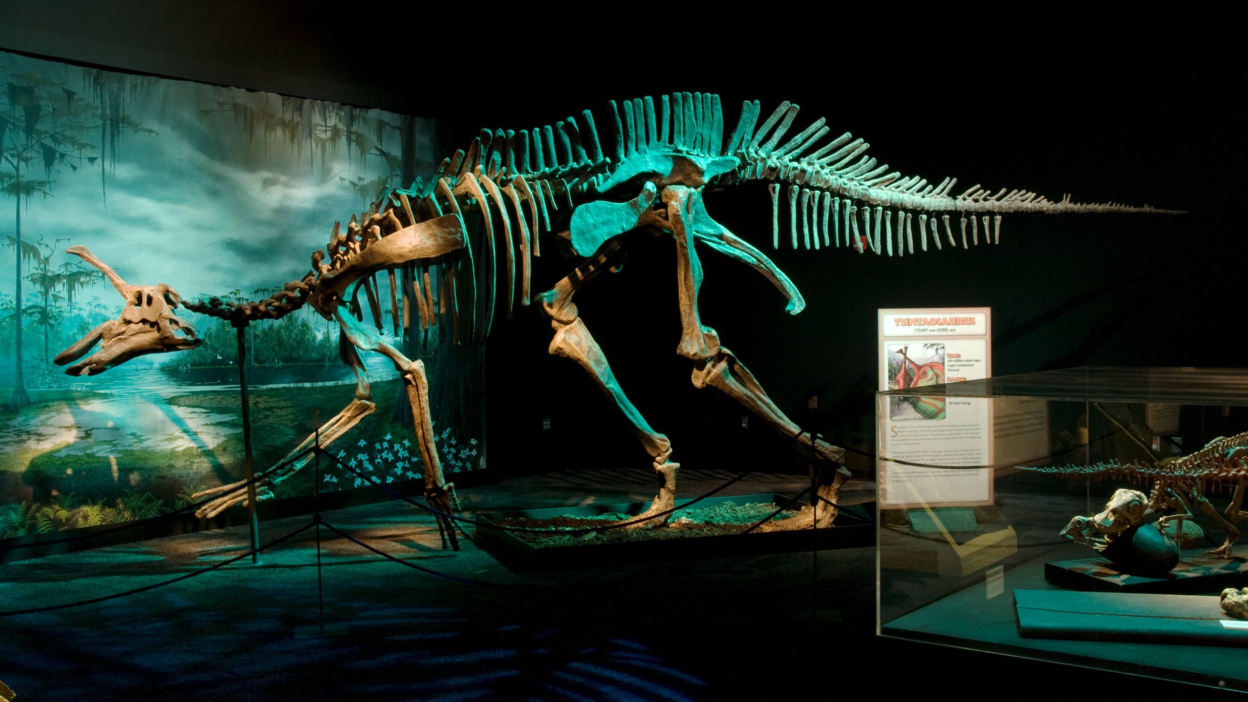 Arizona Science Center In Downtown Phoenix Expedia de Arizona Science Center In Downtown Phoenix Expedia de