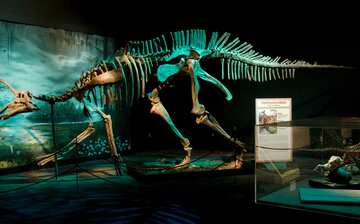 Visit Arizona Science Center in Downtown Phoenix | Expedia