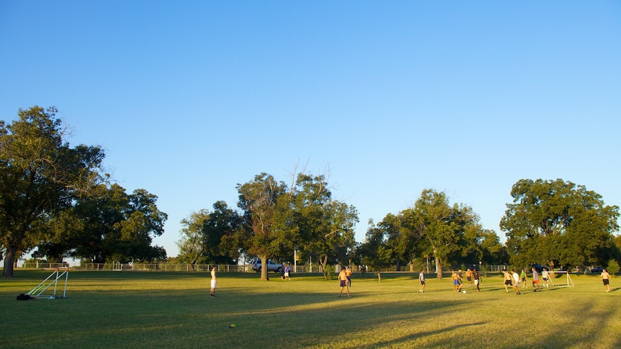 Zilker Park showing landscape views and a park