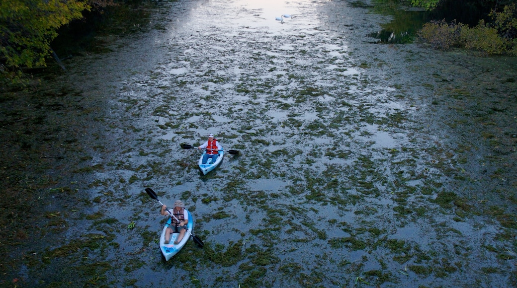 Zilker Park welches beinhaltet Landschaften, Fluss oder Bach und See oder Wasserstelle