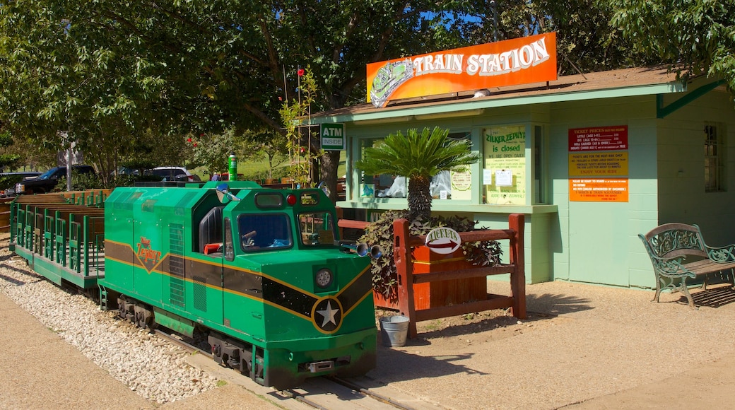 Zilker Park which includes rides, a garden and railway items