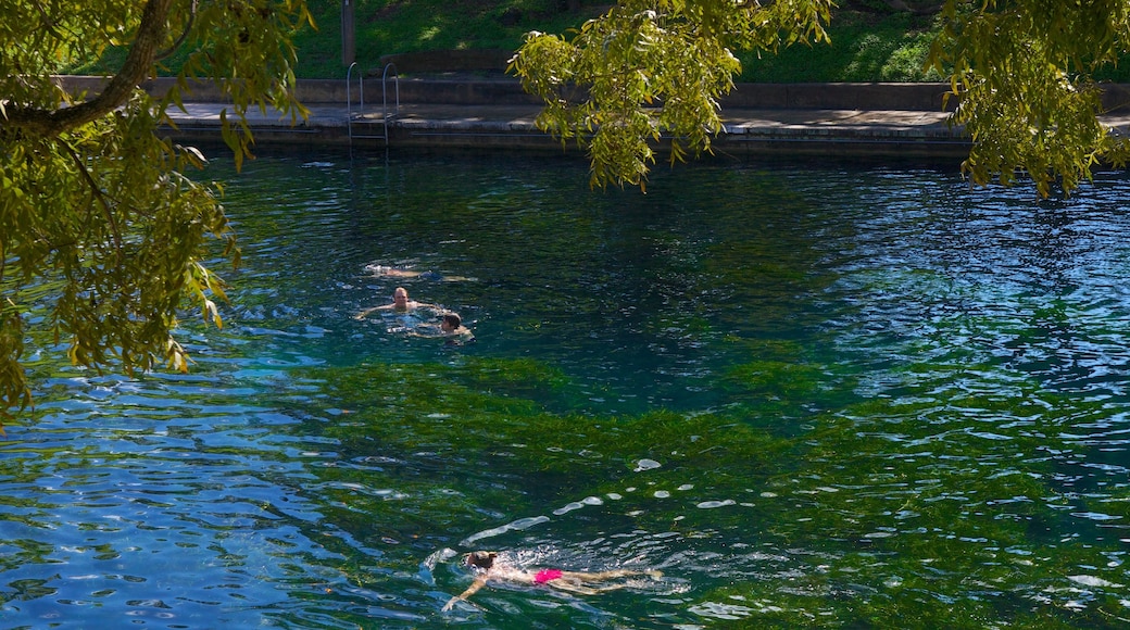 Zilker Park showing swimming, a lake or waterhole and a garden