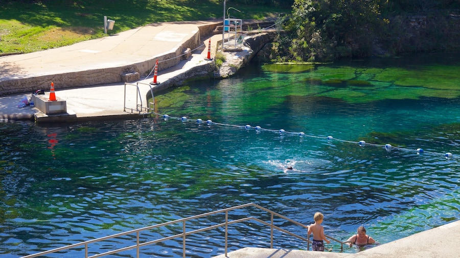 Zilker Park featuring a pool, a lake or waterhole and a park