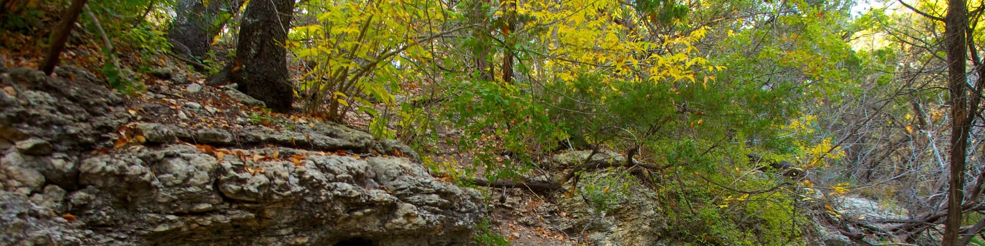 Friedrich Wilderness Park which includes landscape views, autumn leaves and forests