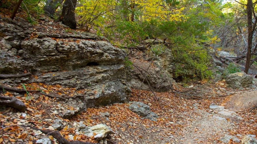 Friedrich Wilderness Park