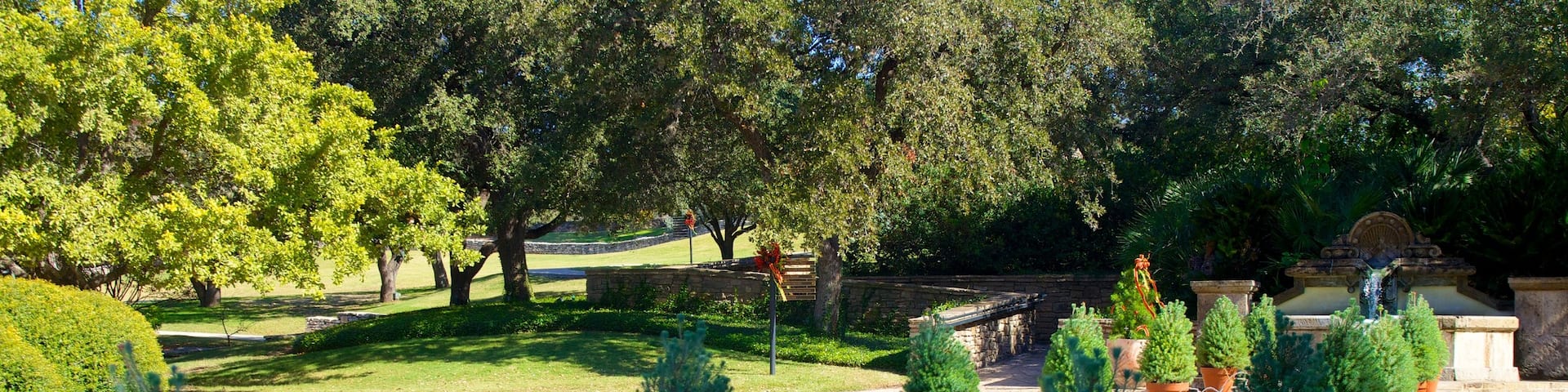 San Antonio Botanical Gardens mettant en vedette jardin