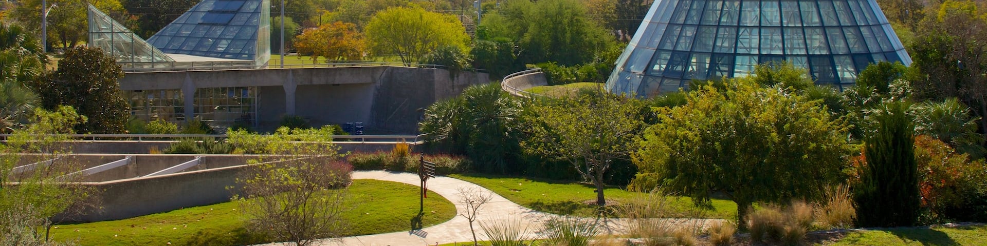 San Antonio Botanical Gardens which includes a park and modern architecture