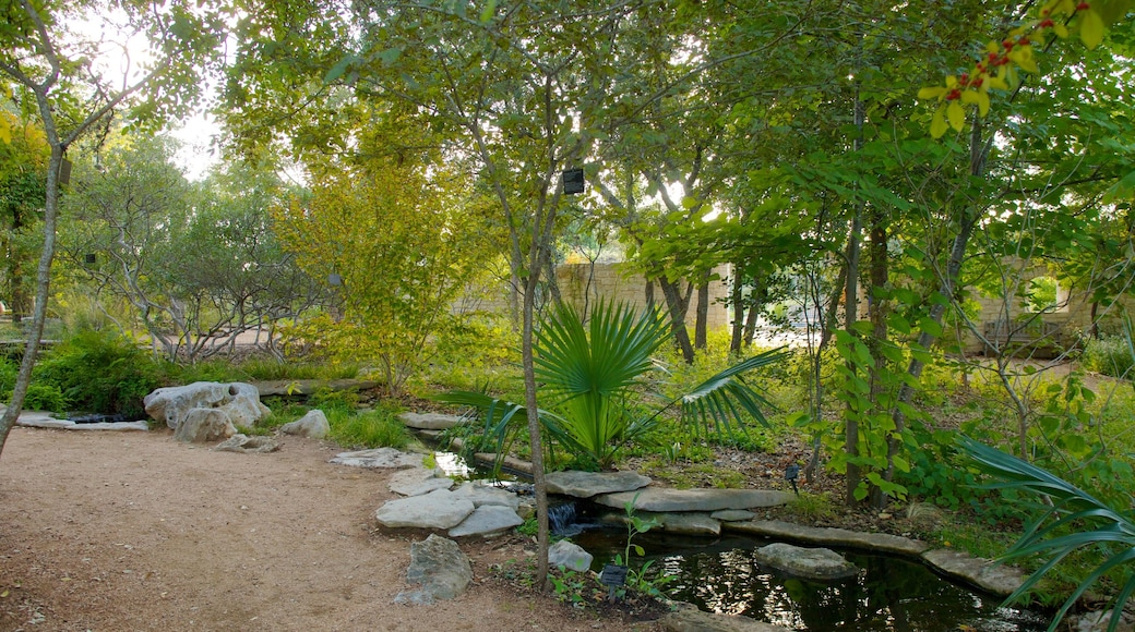 Lady Bird Johnson Wildflower Center featuring a pond, landscape views and a garden