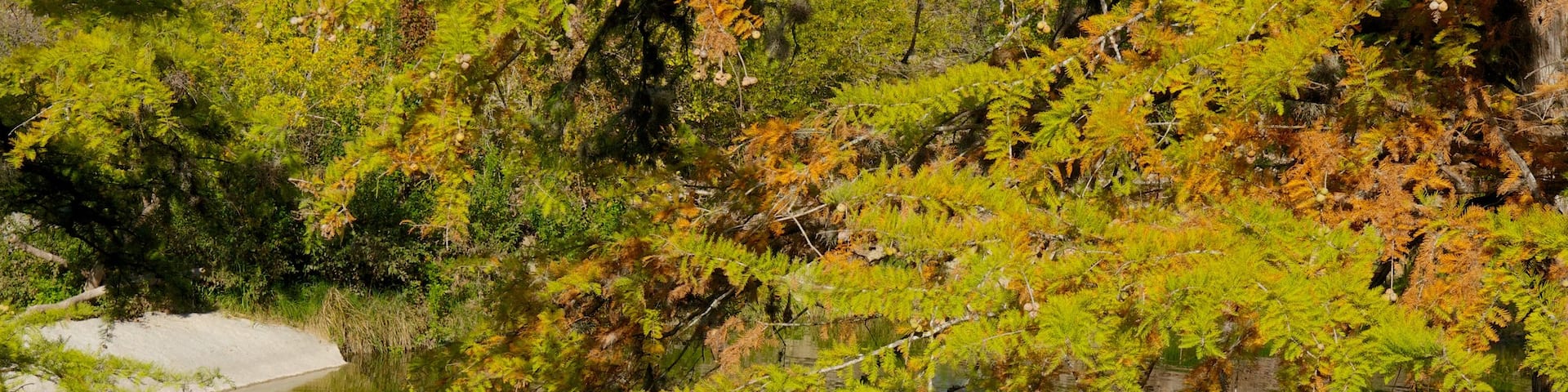 McKinney Falls State Park which includes a pond, a lake or waterhole and a garden