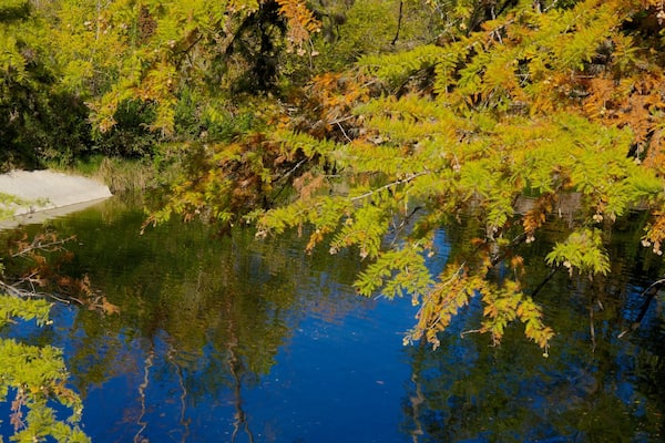 McKinney Falls State Park das einen Landschaften, See oder Wasserstelle und Park