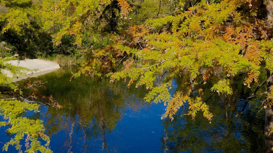 McKinney Falls State Park which includes a pond, a lake or waterhole and a garden