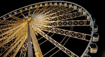 Noria Niagara SkyWheel que incluye paseos y escenas de noche