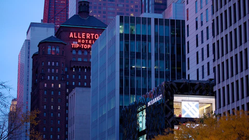 Magnificent Mile - River North caratteristiche di skyline, città e hotel