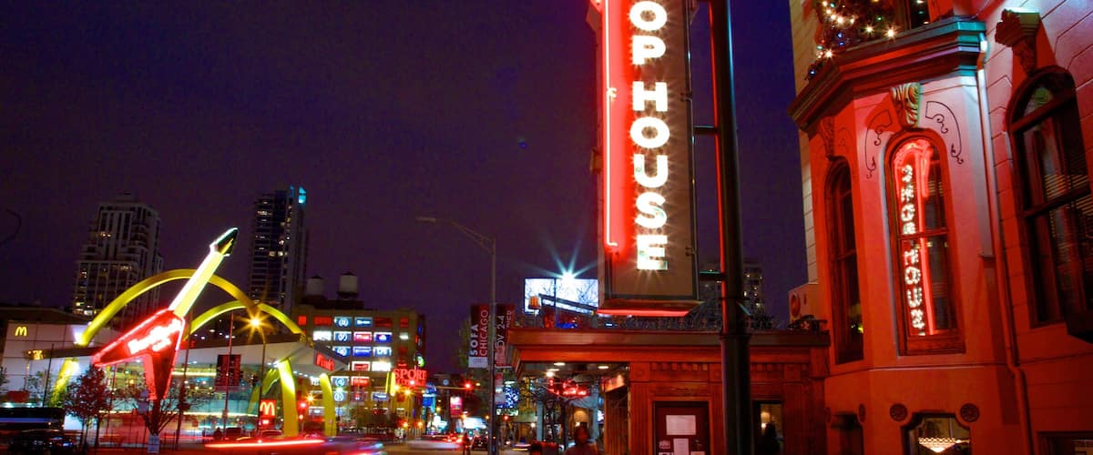 Magnificent Mile - River North showing signage, night scenes and street scenes