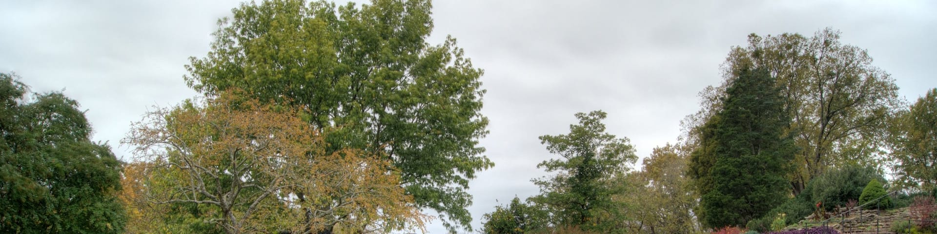 Cheekwood Botanical Gardens and Museum of Art showing a park