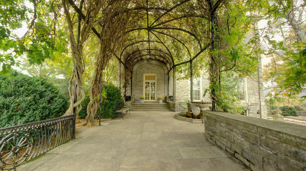 Cheekwood Botanical Gardens and Museum of Art showing a garden