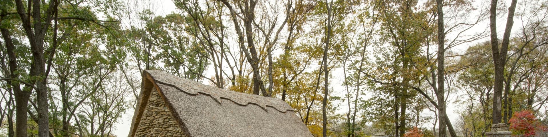 Cheekwood Botanical Gardens and Museum of Art which includes landscape views and a park