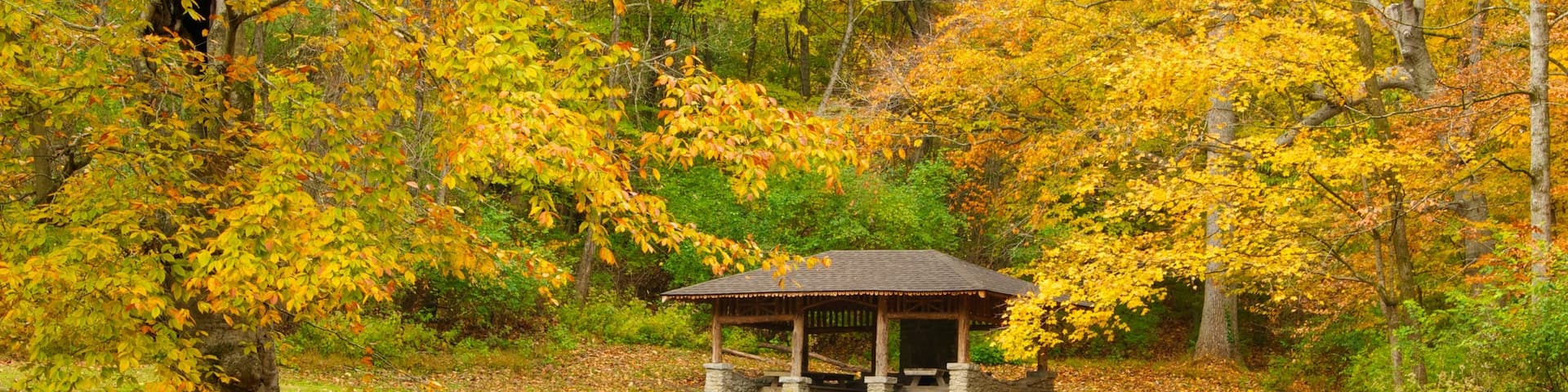 Edwin and Percy Warner Parks which includes tranquil scenes, a park and landscape views
