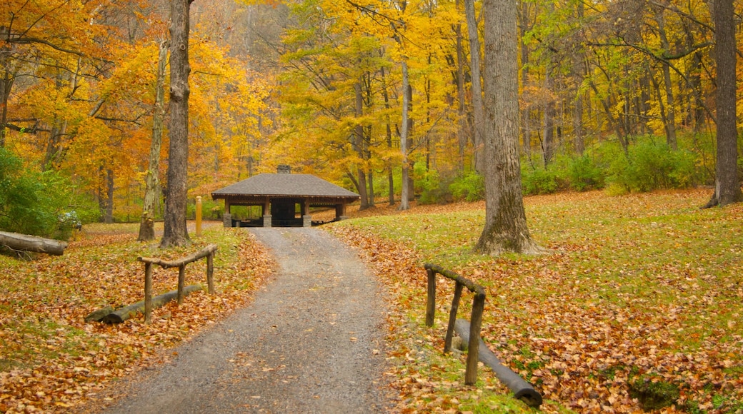 Edwin and Percy Warner Parks which includes landscape views, a park and autumn leaves