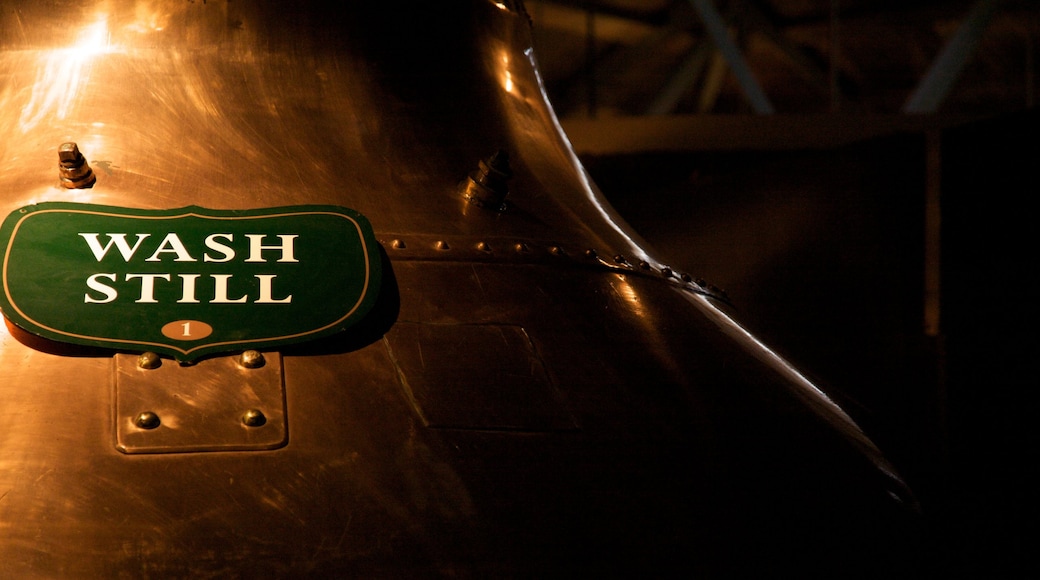 Old Jameson Distillery featuring signage and interior views