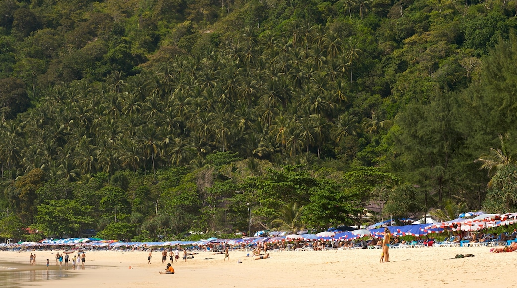 Nai Harn Beach showing tropical scenes, landscape views and a sandy beach