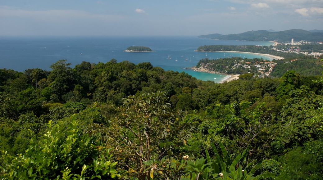 Patong showing tropical scenes, landscape views and general coastal views