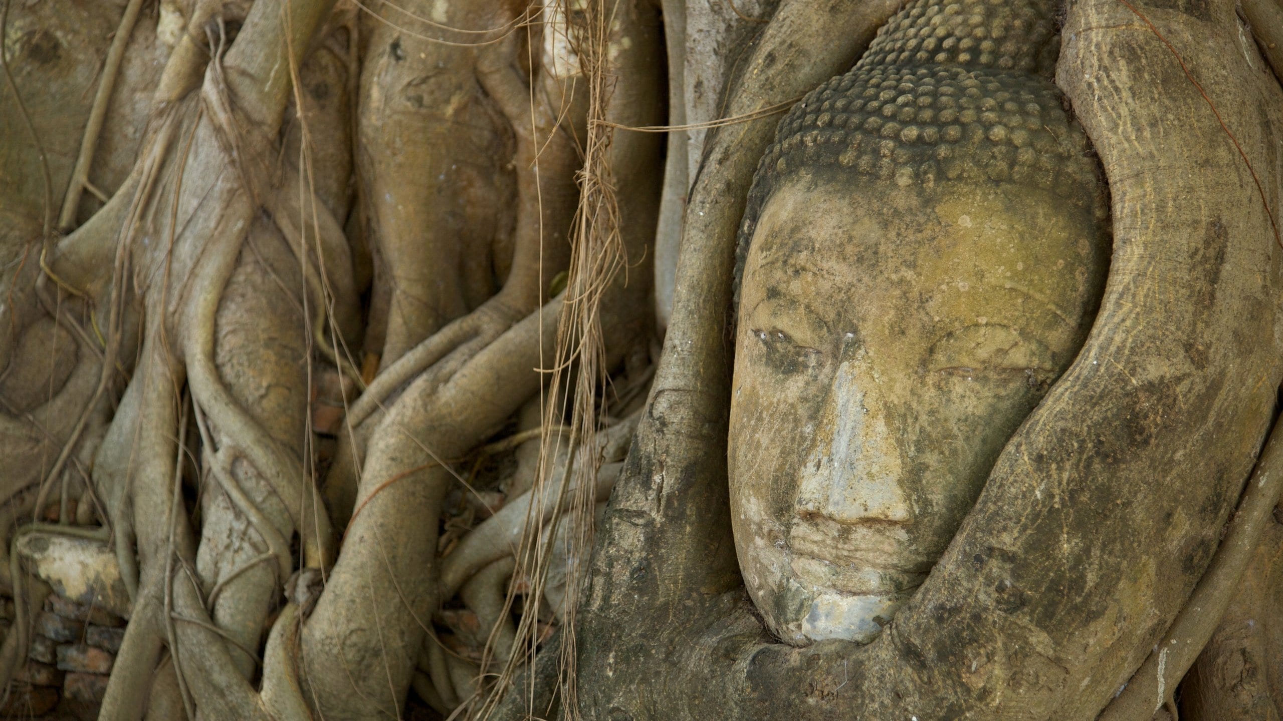 Reiseführer Ayutthaya 2024 das Beste in Ayutthaya entdecken Expedia.at