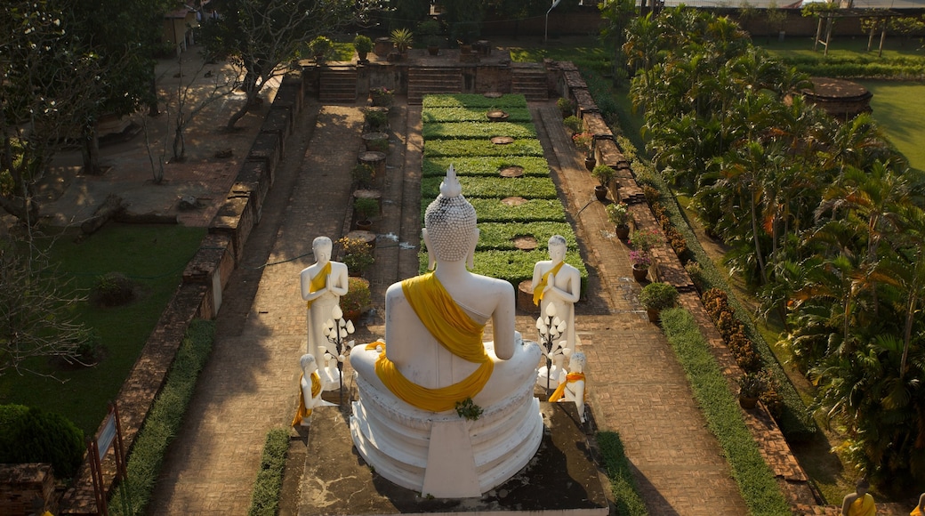 Ayutthaya showing a statue or sculpture, religious aspects and a garden