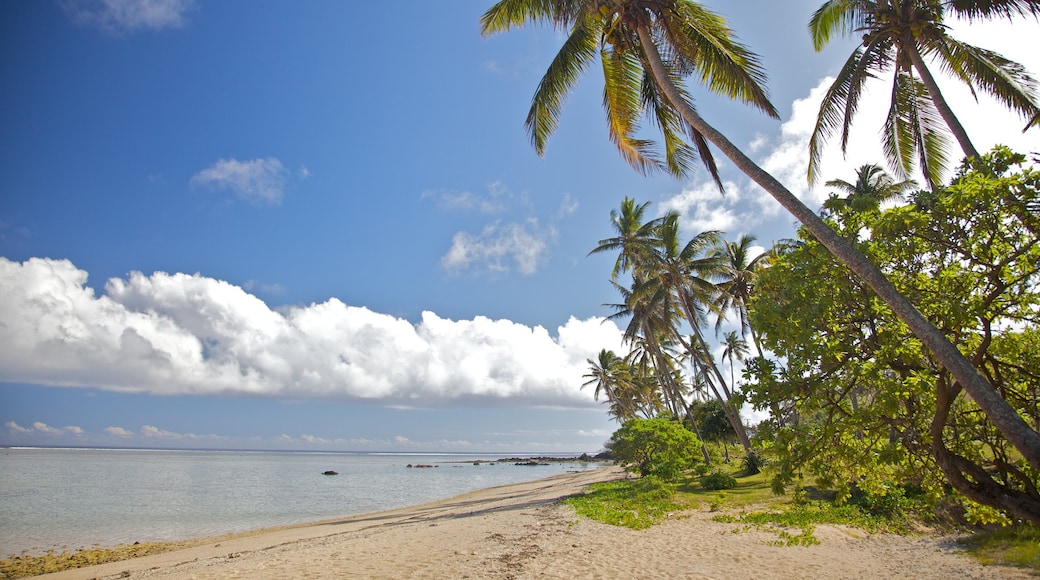 Coral Coast showing a beach and tropical scenes