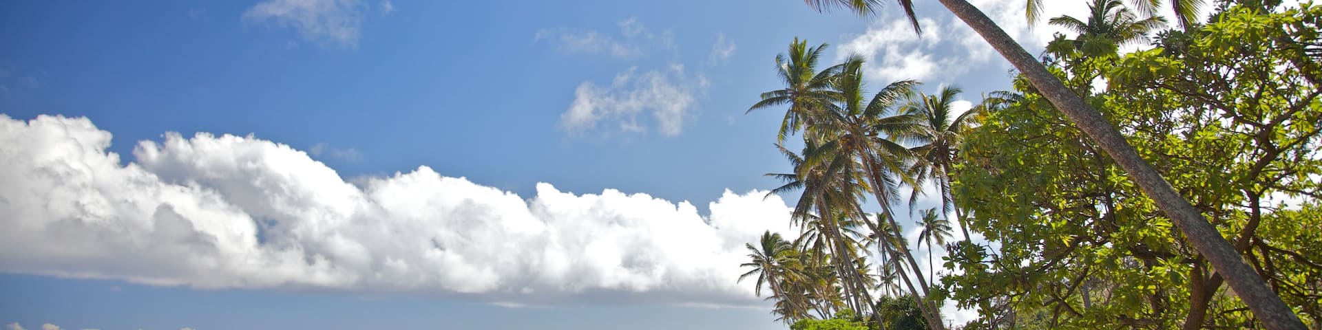 Coral Coast which includes tropical scenes and a beach
