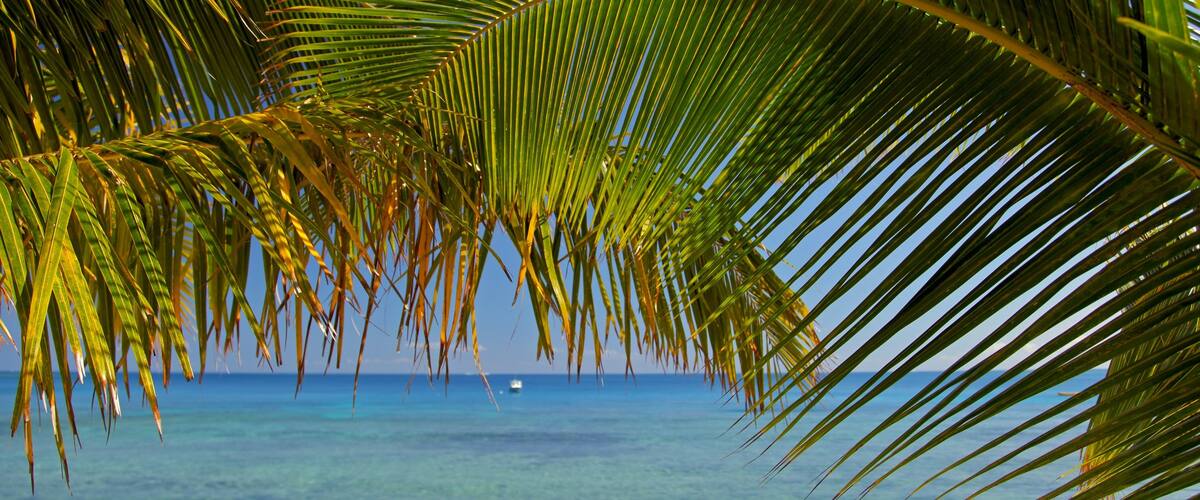 Fiji featuring a sandy beach, tropical scenes and landscape views