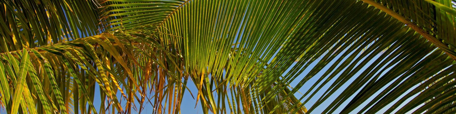 Fiji which includes landscape views, tropical scenes and a beach