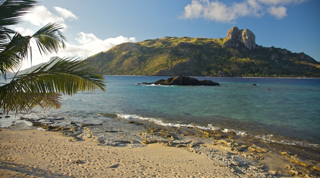 Fidji montrant scènes tropicales, plage de sable et plage de galets