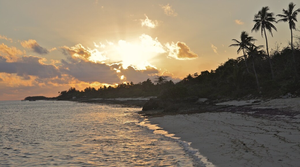 เกาะ Viwa ซึ่งรวมถึง พระอาทิตย์ตก, ชายหาด และ ทิวทัศน์เขตร้อน