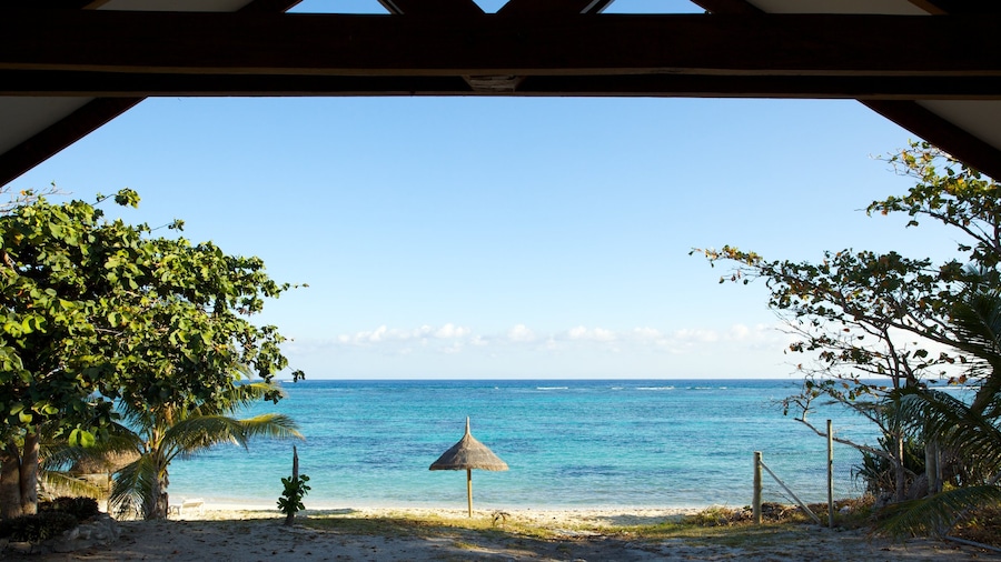 Viwa Island bevat landschappen, algemene kustgezichten en een strand
