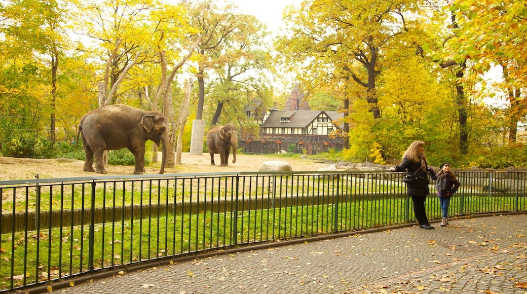 Zoológico de Berlín mostrando hojas de otoño, animales terrestres y animales de zoológico