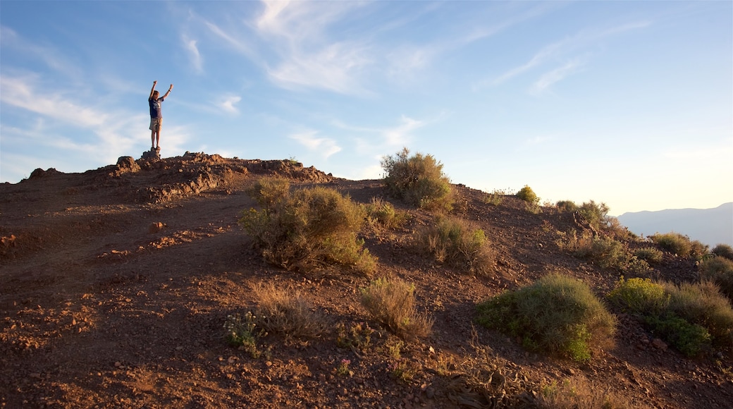 Dante\'s View featuring desert views and mountains as well as an individual male