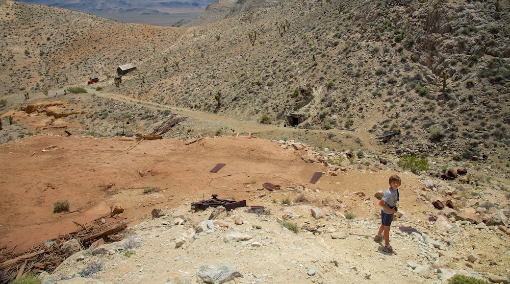 Death Valley welches beinhaltet ruhige Szenerie sowie einzelnes Kind